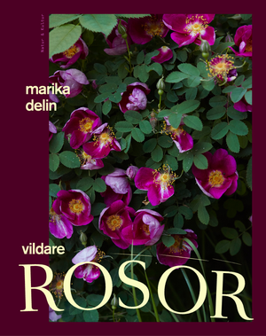 Vildare rosor | 1:a upplagan