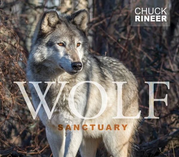 Wolf Sanctuary : The Wolves of Speedwell Forge | 0:e upplagan