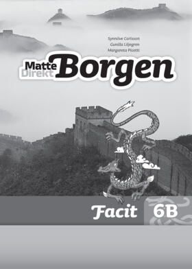 Matte Direkt Borgen Facit 6B (5-pack) | 0:e upplagan
