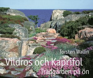 Vildros och kaprifol : trädgården på ön