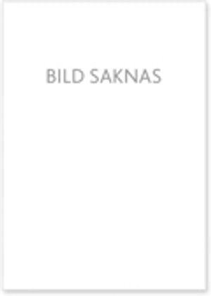 Extern VD. Så lyckas du (Grant Thorntons upplaga) - 15 framgångsfaktorer för VD i ägarledda företag | 1:a upplagan