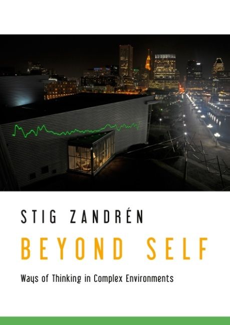 Beyond Self : Ways of Thinking in Complex Environments | 1:a upplagan