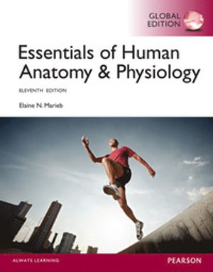 Essentials of Human Anatomy & Physiology