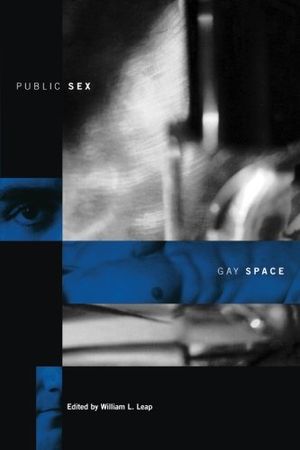 Public Sex/Gay Space