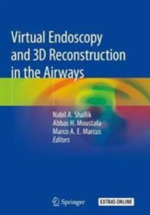 Virtual Endoscopy and 3D Reconstruction in the Airways | 1:a upplagan