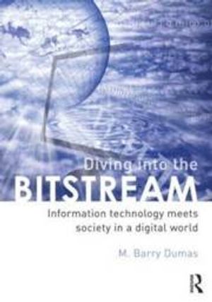 Diving Into The Bitstream