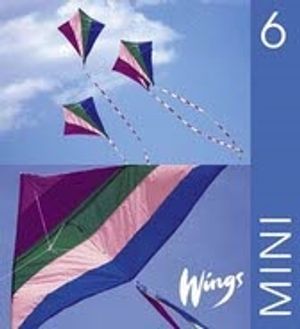 Wings Mini. 6, Elevbok | 1:a upplagan