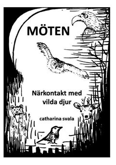 Möten : Närkontakt med vilda djur | 0:e upplagan