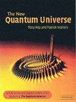 The New Quantum Universe