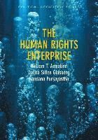 The Human Rights Enterprise: Political Sociology, State Power, and Social M