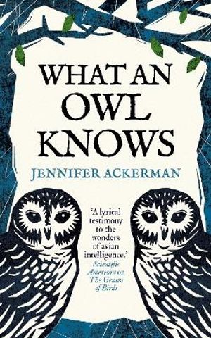 What an Owl Knows