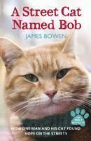 A Street Cat Named Bob - James Bowen
