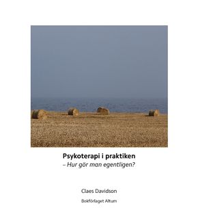 Psykoterapi i praktiken : hur gör man egentligen?  | 1:a upplagan