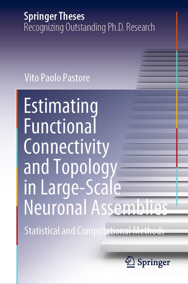 Estimating Functional Connectivity and Topology in Large-Scale Neuronal Assemblies | 1:a upplagan