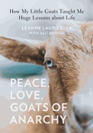 Peace, love, goats of anarchy - how my little goats taught me huge lessons