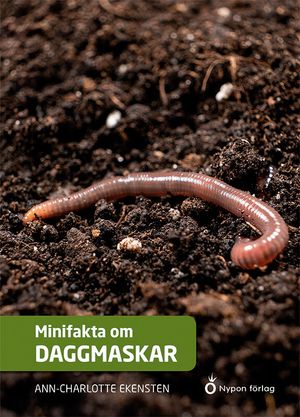 Minifakta om daggmaskar | 1:a upplagan