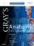 Gray's Anatomy for Students (2009)