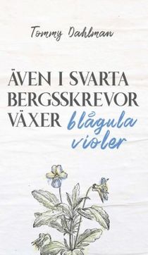 Även i svarta bergsskrevor växer blågula violer