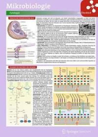 Lerntafel: Mikrobiologie im Überblick | 2:a upplagan