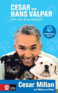 Cesar och hans valpar : Från valp till perfekt hund