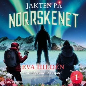 Jakten på norrskenet : En juldeckare i 24 kapitel | 4:e upplagan