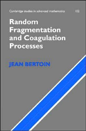 Random Fragmentation and Coagulation Processes