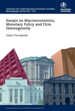 Essays on Macroeconomics, Monetary Policy and Firm Heterogeneity | 0:e upplagan