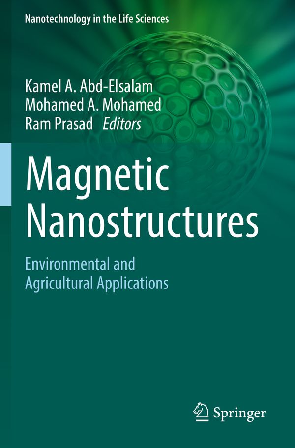 Magnetic Nanostructures | 1:a upplagan