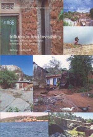 Influence and invisibility : tenants in housing provision in Mwanza City, Tanzania