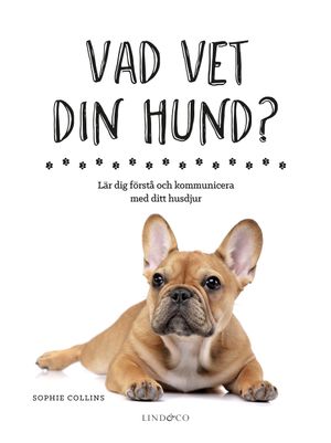 Vad vet din hund? : lär dig förstå och kommunicera med ditt husdjur | 1:a upplagan