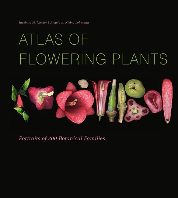 Atlas Of Flowering Plants | 0:e upplagan