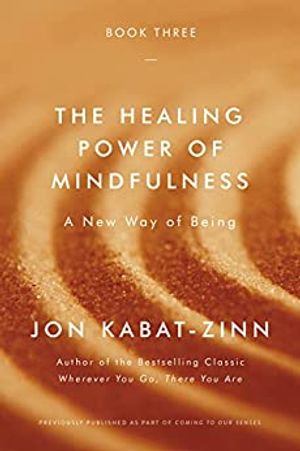 The Healing Power of Mindfulness