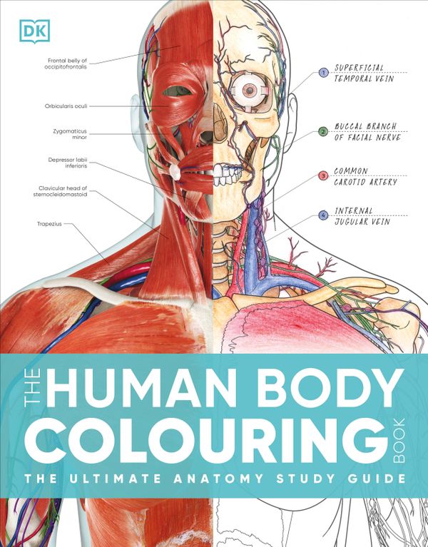 The Human Body Colouring Book | 9780241664537 // campusbokhandeln.se