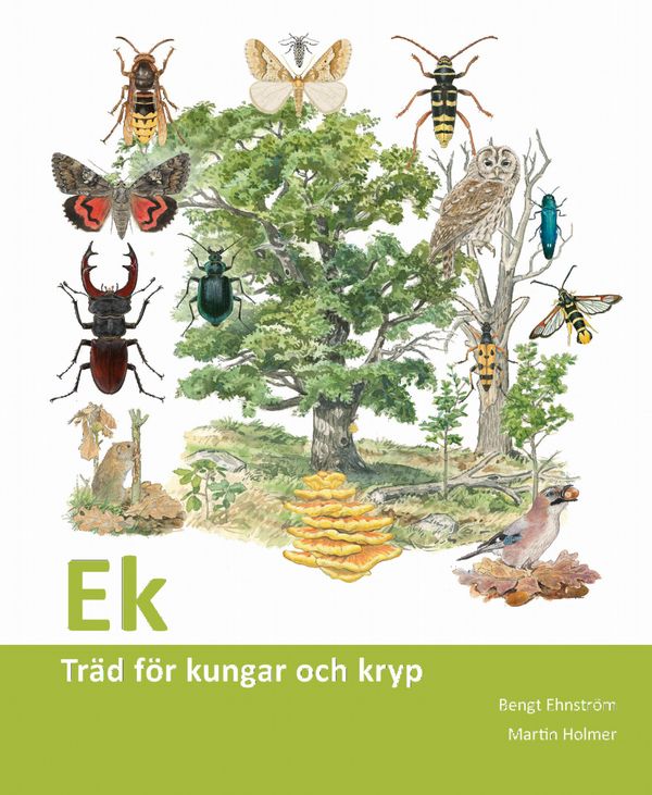 Ek: träd för kungar och kryp | 1:a upplagan