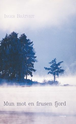 Mun mot en frusen fjord