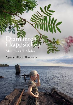 Diamanten i kappsäcken : Min resa till Afrika | 1:a upplagan