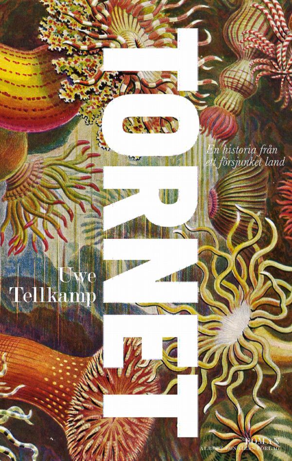 Tornet : en historia från ett sjunket land | 0:e upplagan