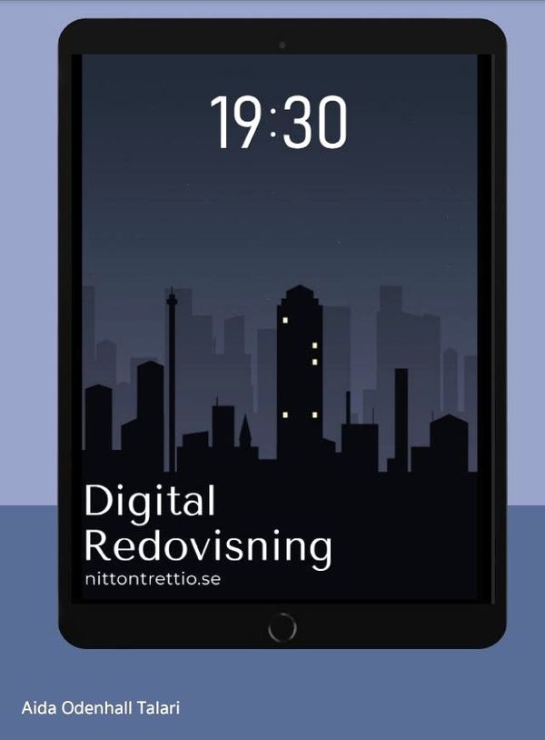1930 Digital Redovisning | 0:e upplagan
