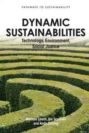 Dynamic Sustainabilities