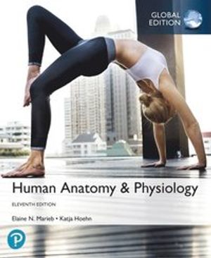 Human Anatomy & Physiology, Global Edition | 11:e upplagan