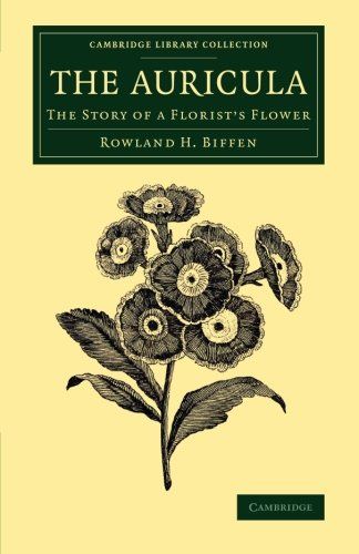 The Auricula - Rowland H