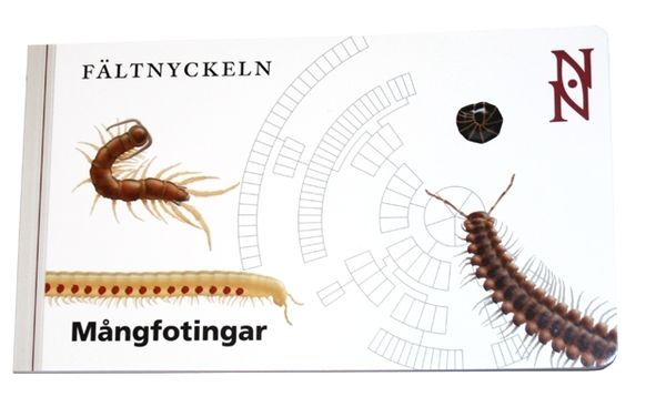 Fältnyckeln : mångfotingar