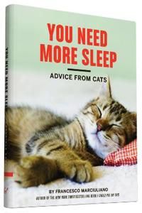 You Need More Sleep | 0:e upplagan