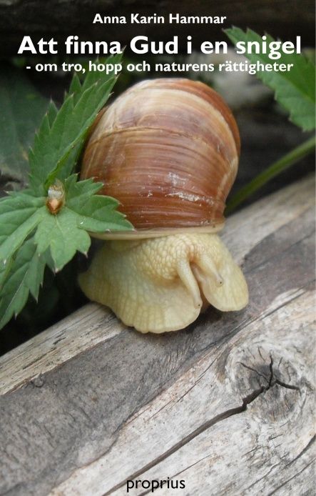 Att finna Gud i en snigel | 0:e upplagan