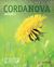 CordaNova delkurs 3 elevbok