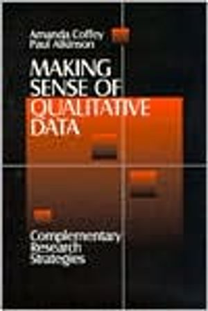 Making Sense of Qualitative Data