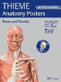 THIEME Anatomy Posters Bones and Muscles, Latin Nomeclature