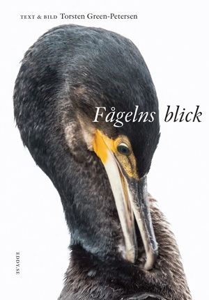 Fågelns blick | 0:e upplagan