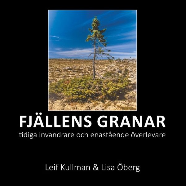 Fjällens granar : tidiga invandrare och enastående överlevare | 1:a upplagan