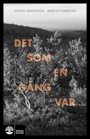 Det som en gång var | 1:a upplagan